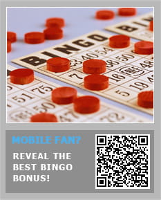 play online casino bingo games